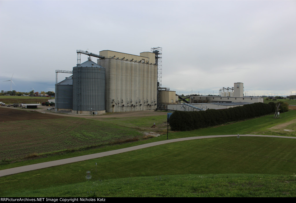 Cooperative Elevator Pigeon Bean Plant